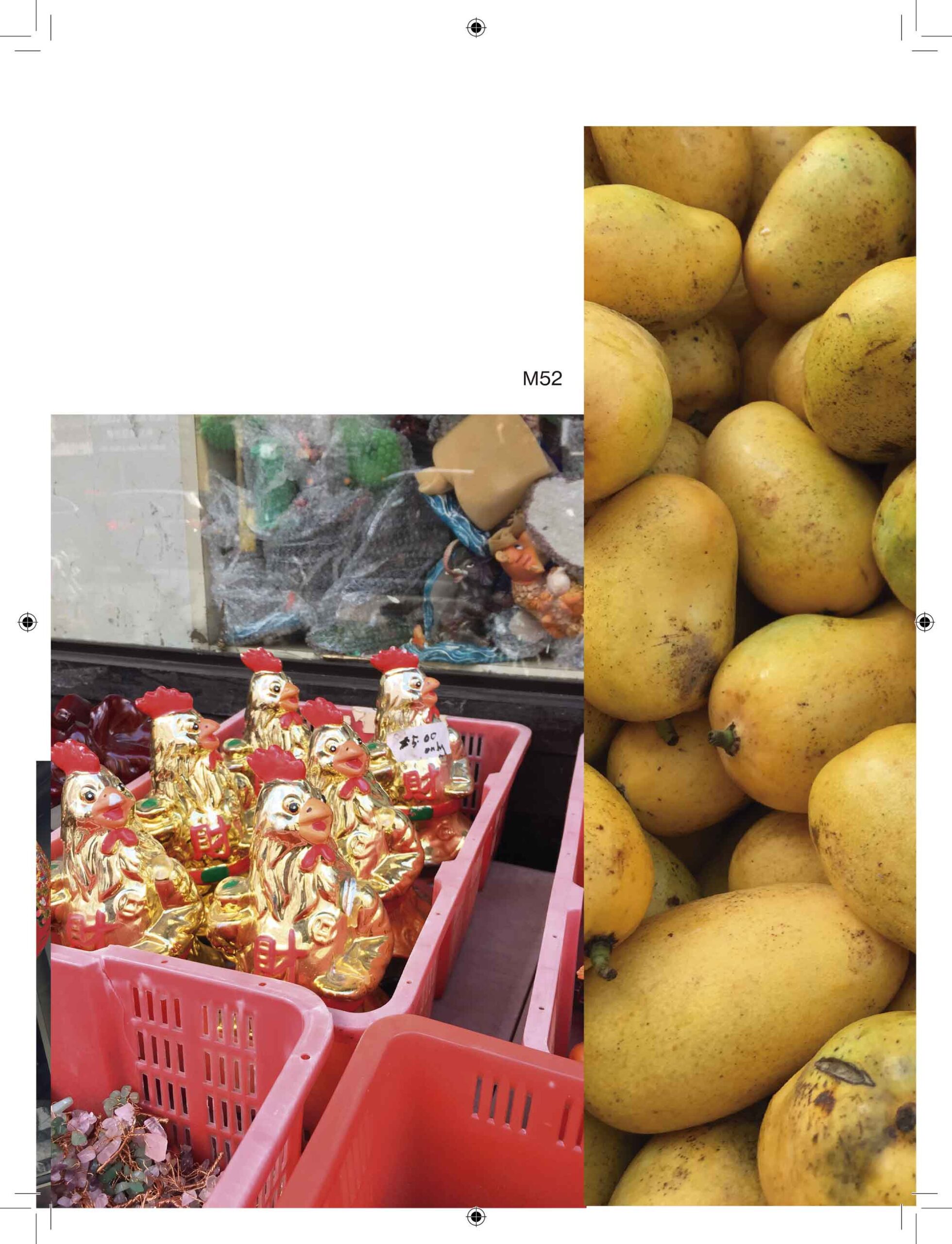 editorial design photo book